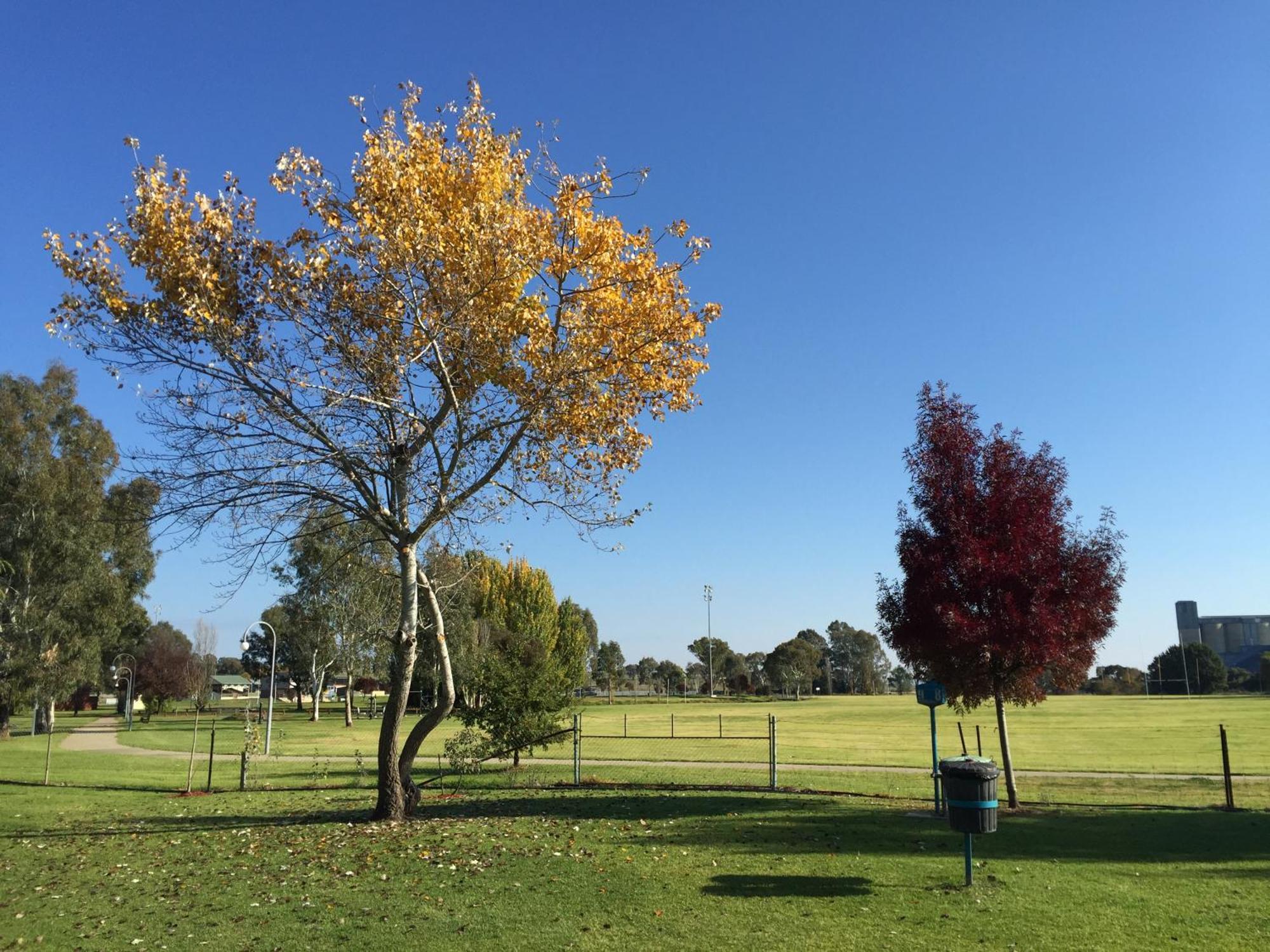 Junee Tourist Park Exterior foto