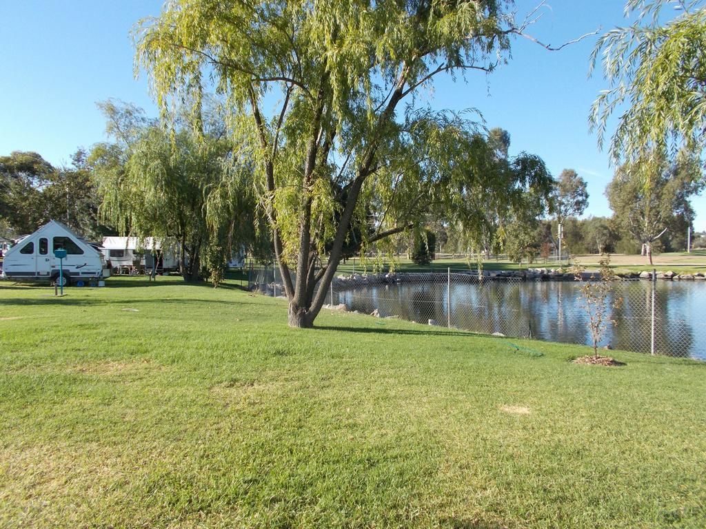 Junee Tourist Park Exterior foto