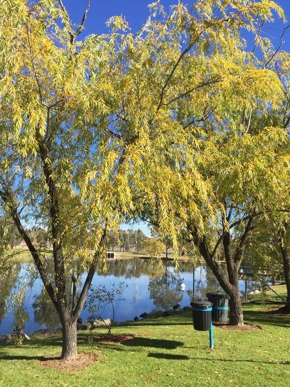 Junee Tourist Park Exterior foto