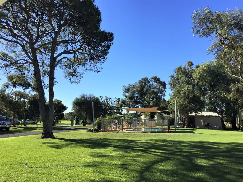 Junee Tourist Park Exterior foto