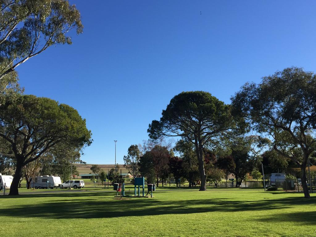 Junee Tourist Park Exterior foto